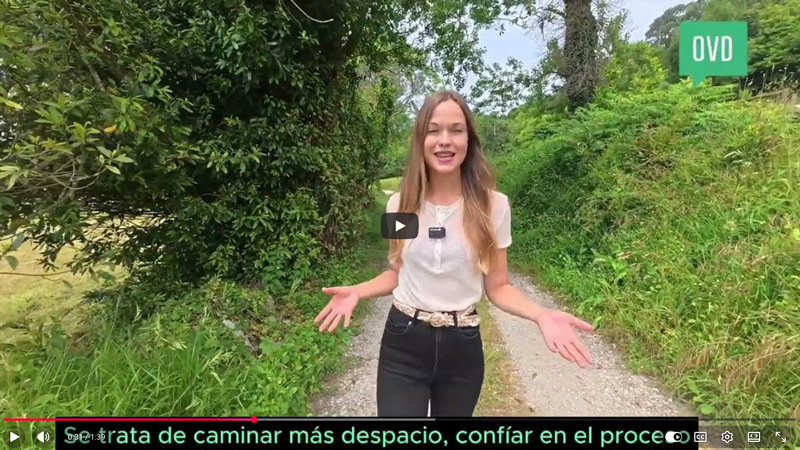 Oviedo video on Camino