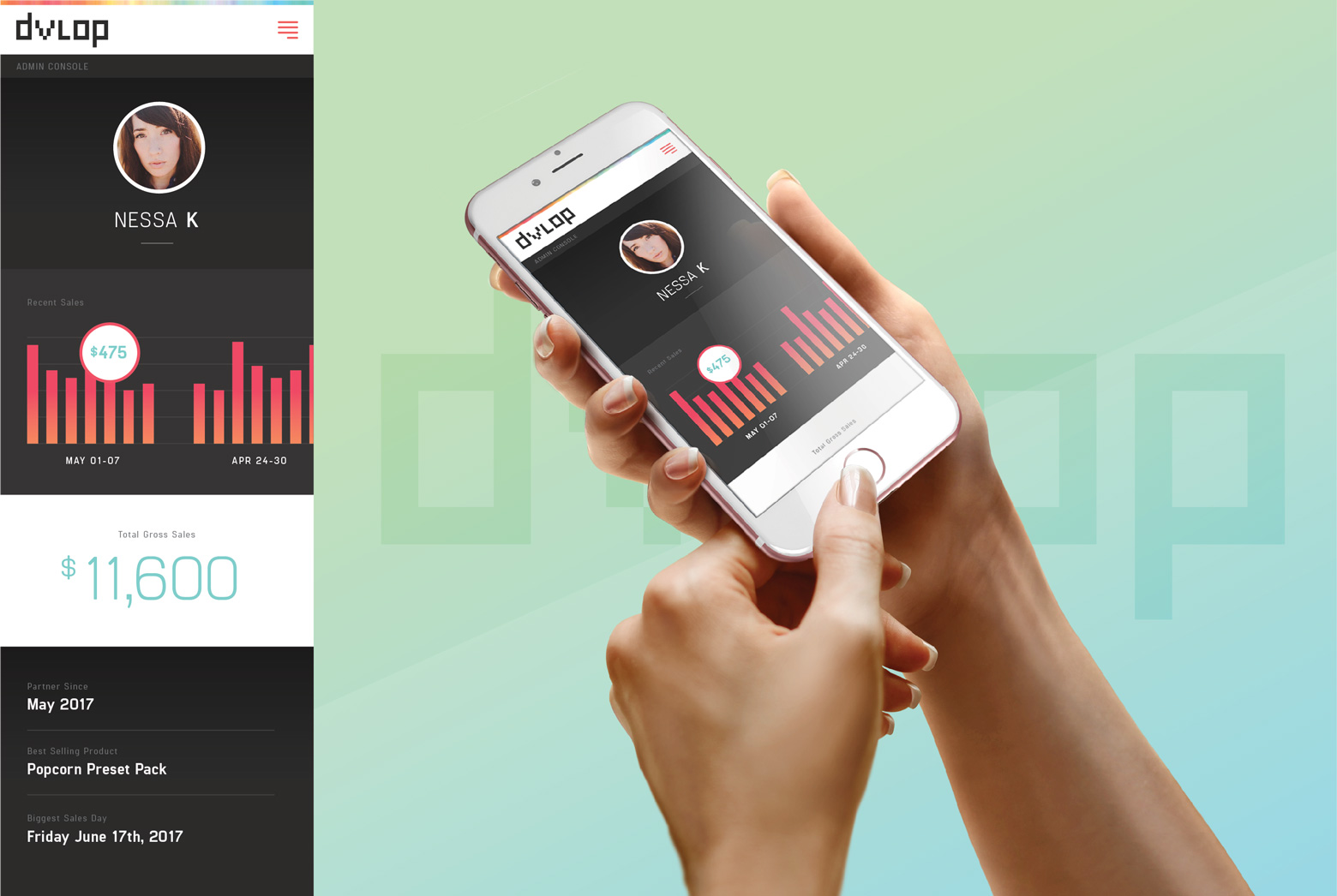 Dvlop web wave2 photographer analytics mock