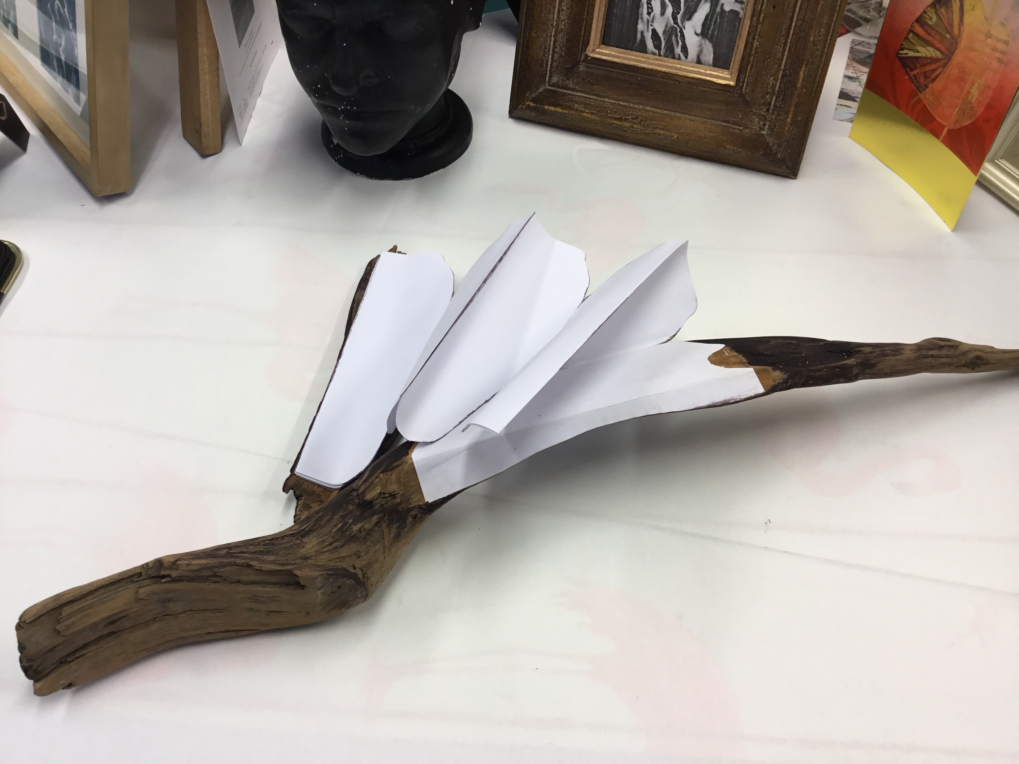 Aa069a36 658c 4bee 898d 1e7ce530cda7