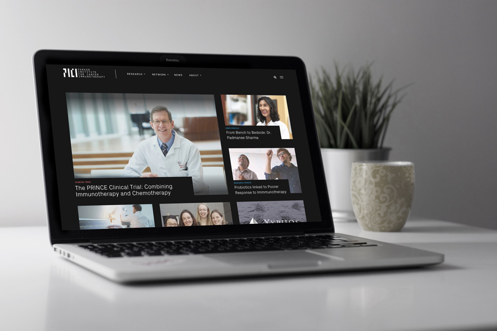 3b8209b0 f1a4 40f2 bbe7 de44c1f82842 pici