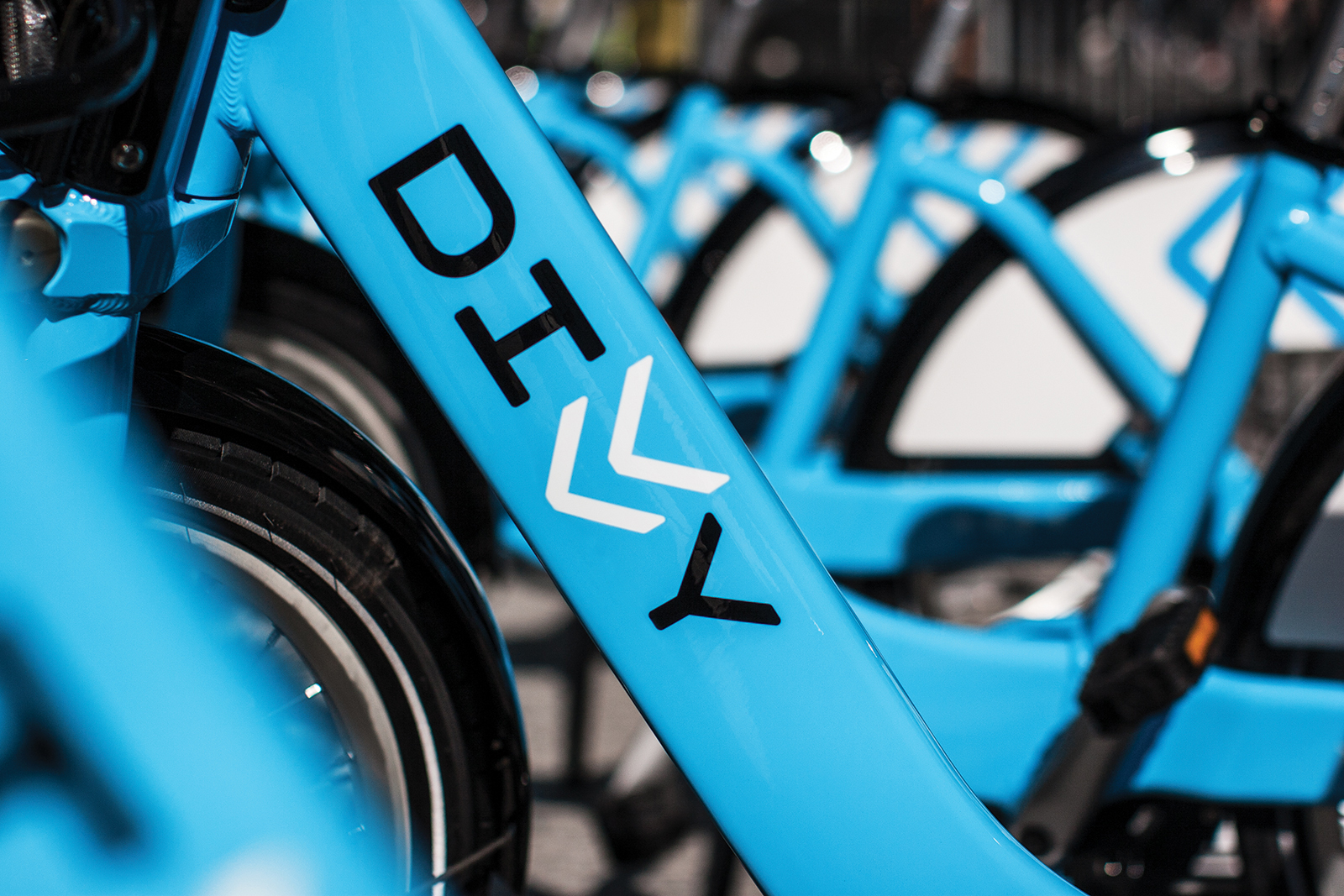01divvy