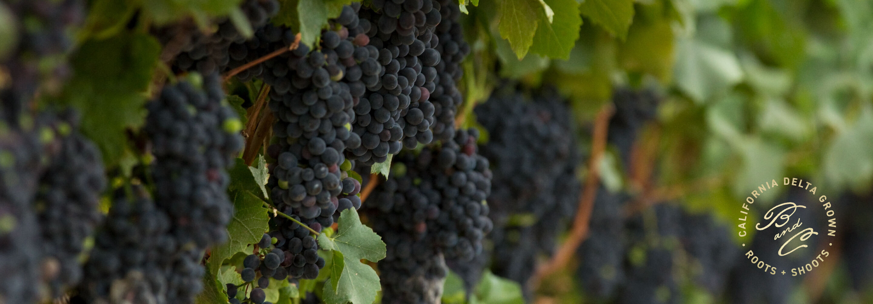 7408b4a9 0540 4bae 8d18 9511c541a78f pressley work 2280 2