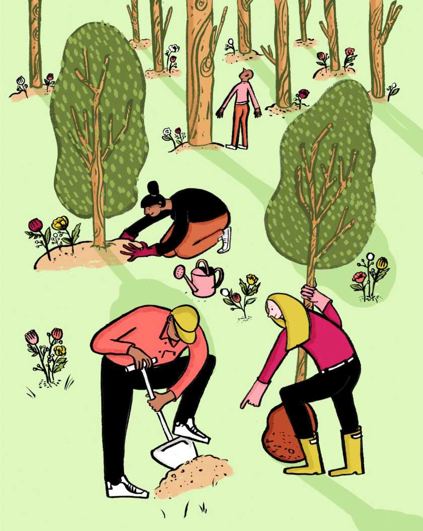 9fe28d3e 5285 478e b52c 0fd66a865c00 nava public benefit report 2018