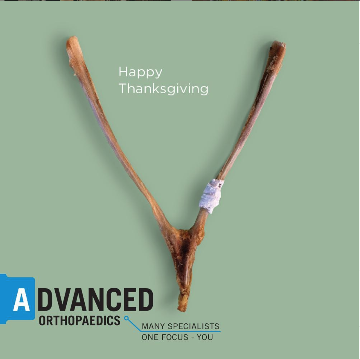 86514b6e 9db3 4694 b114 2082f4fb863c ortho 3