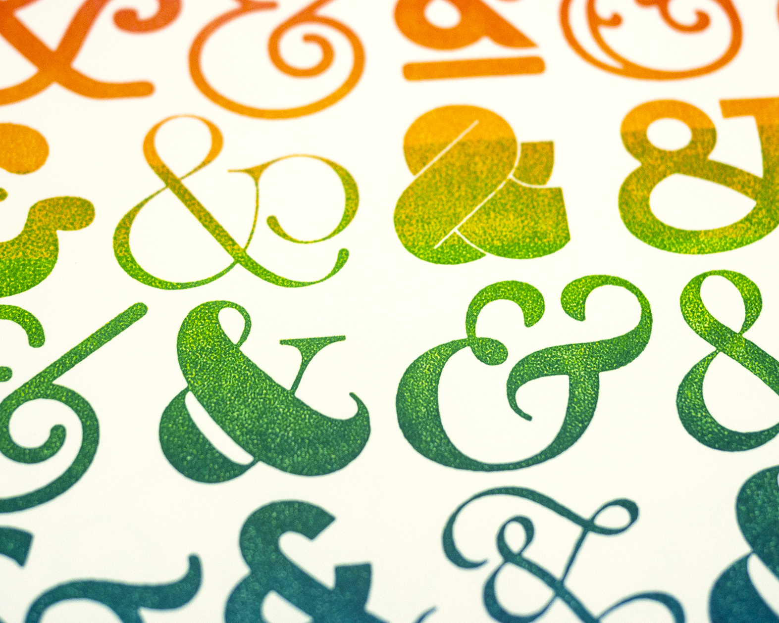 Fddffd58 15be 4f87 a966 b9ccb7b23a50 p1050170 alt2 smaller