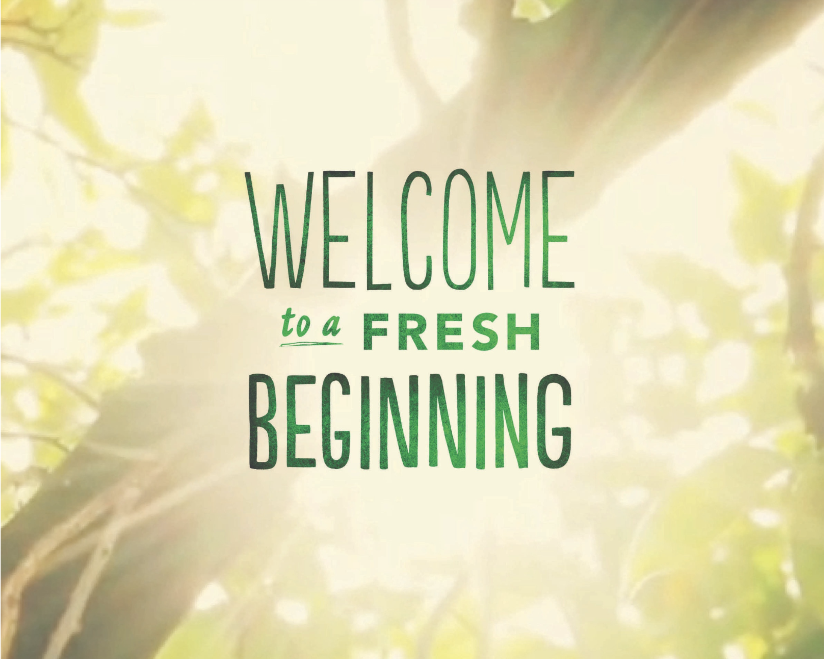 5ce286ab ab94 4dfc ad54 a546a0c60303 screen shot 2019 08 28 at 11.00.17 am