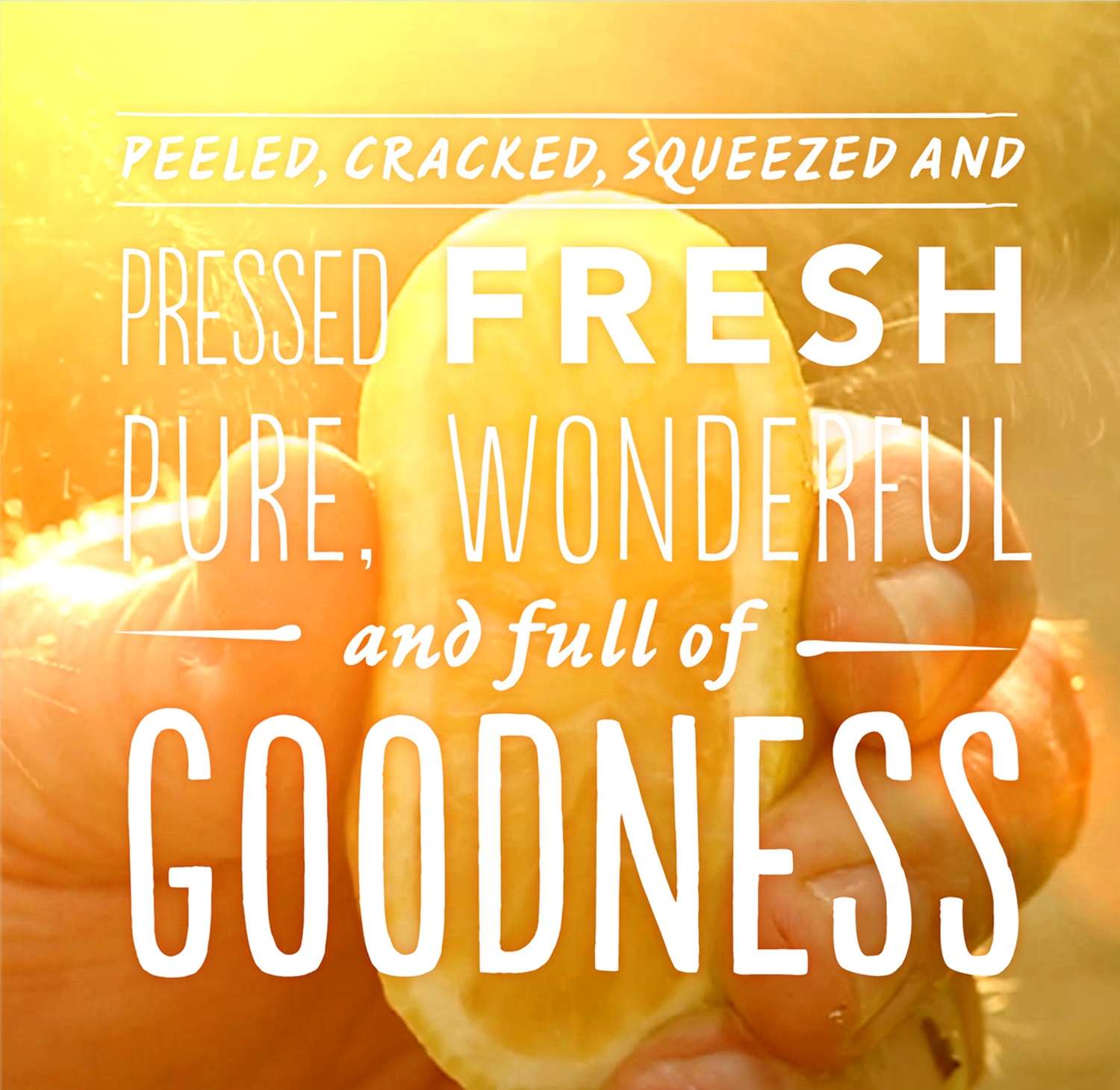 712b3193 de77 40eb 90f8 45d450ca8f3a 6 evo bbook 1500px