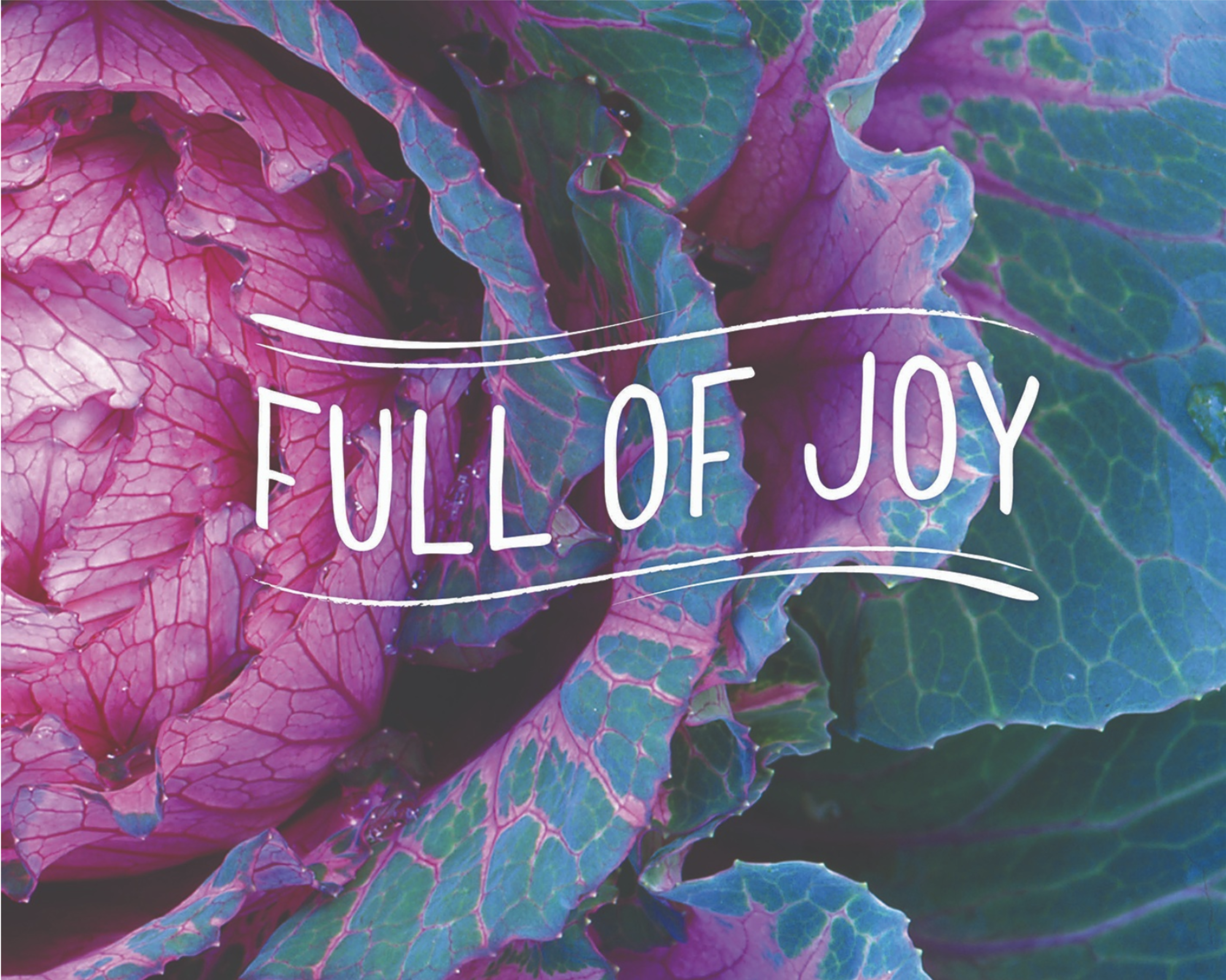 9889c857 f72f 4c52 9d4e 1e674ce0cc41 screen shot 2019 08 28 at 11.14.38 am