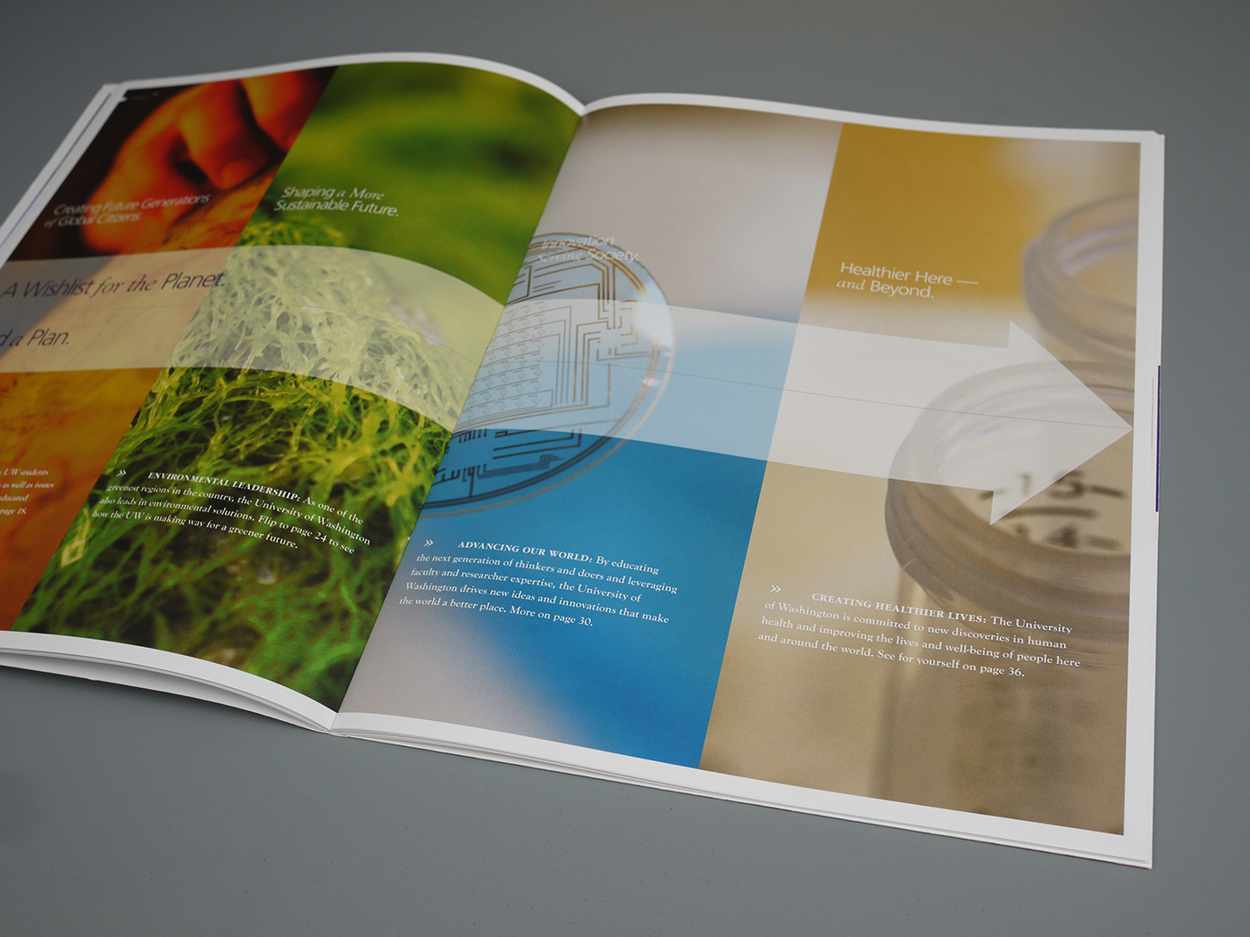 Eb54d486 3e3a 4f67 8b8e b6118ce2e542 p1090732 1400