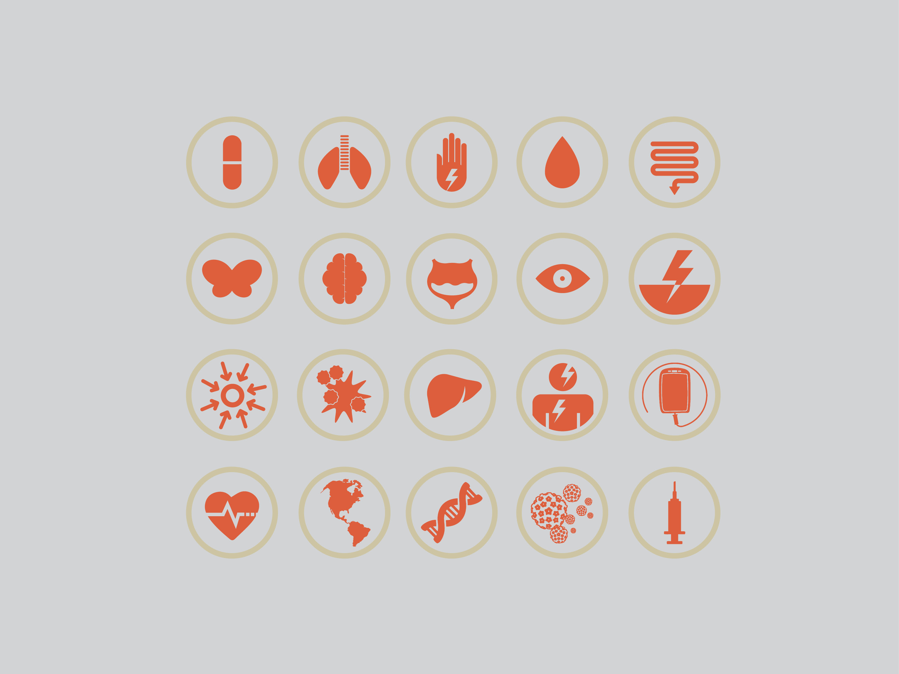 18ee05dd d78d 4e81 8444 fafbe054ce67 bri16