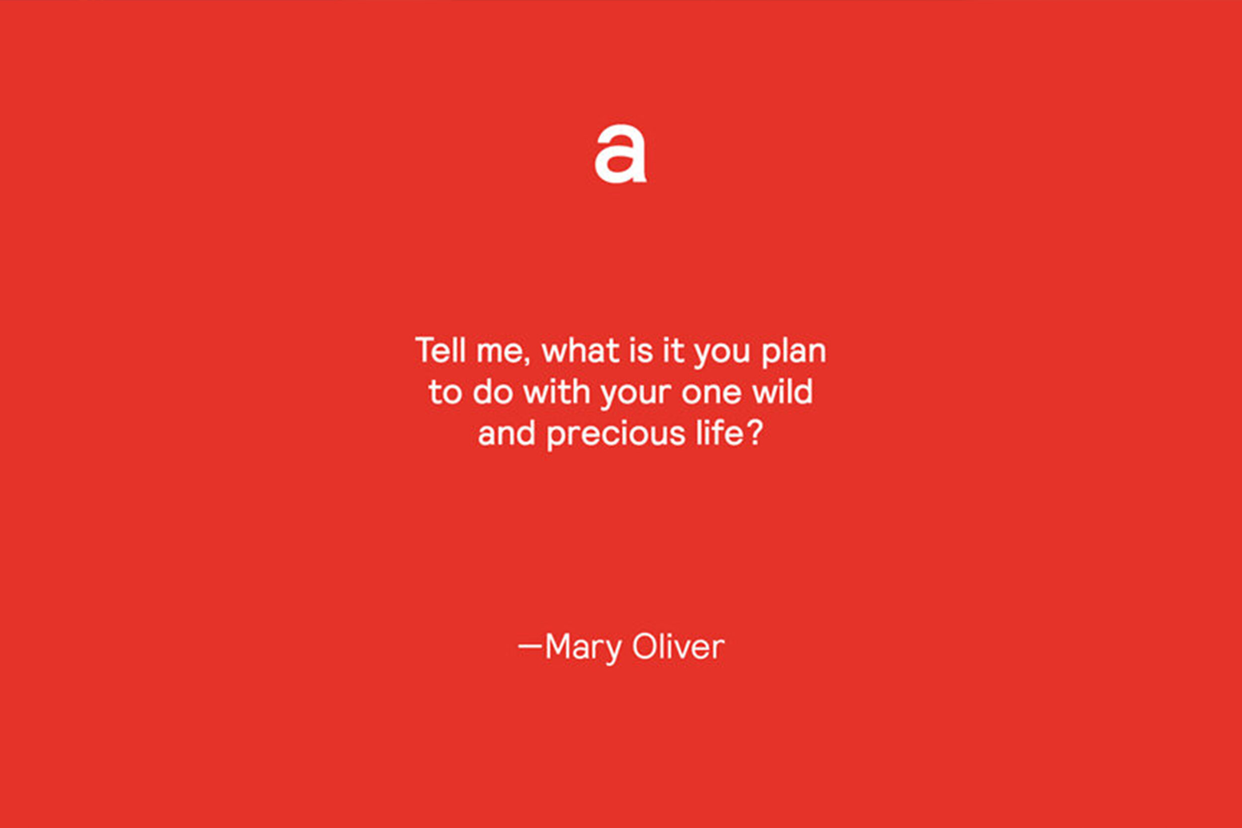 Aa7aae95 fee1 4448 a9b7 faaa57520aec auriel majumdar brand directoress helena dolby brand design mary oliver