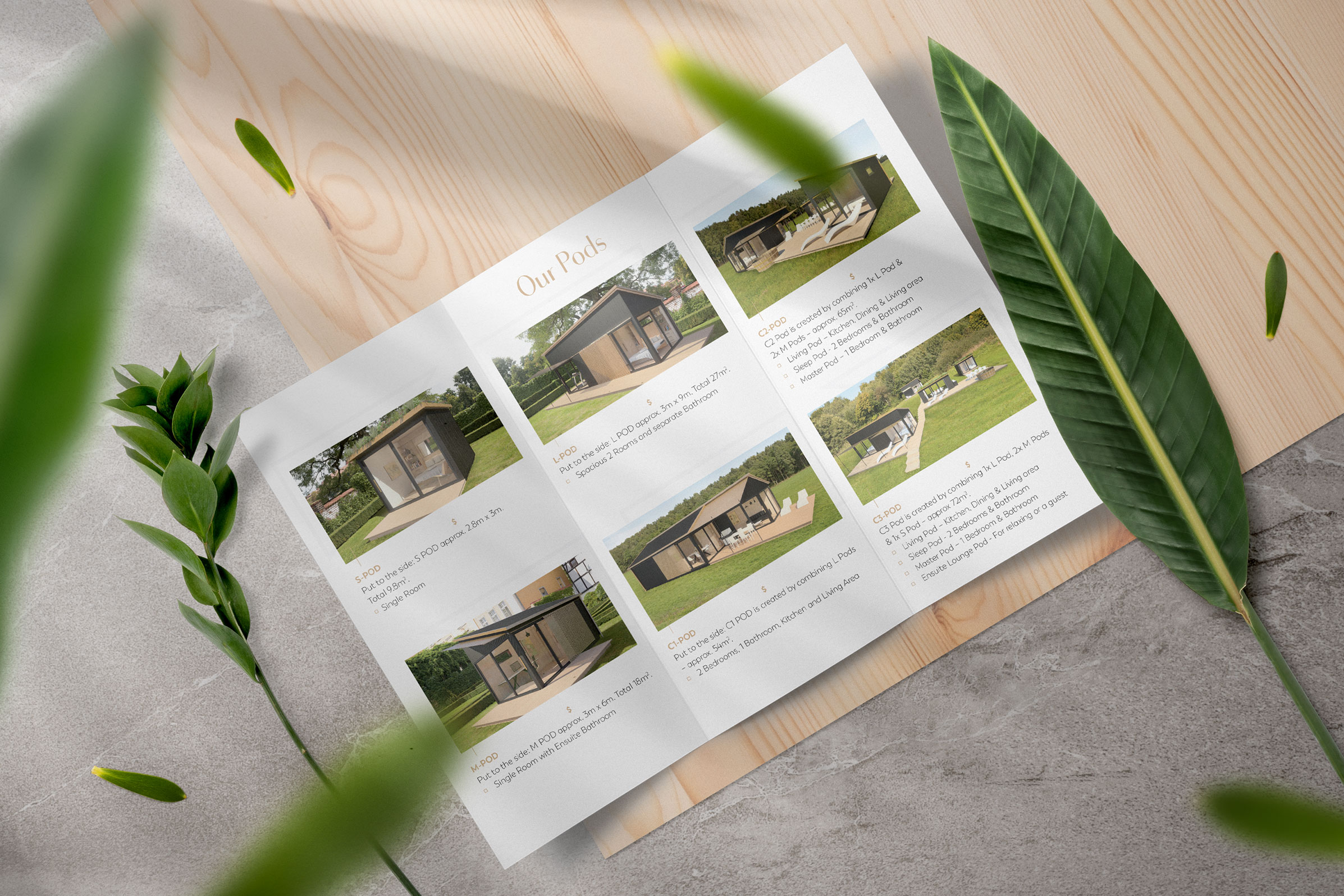 5e122157 1f00 4ae8 8172 62a943a67697 trifold flyer design nz