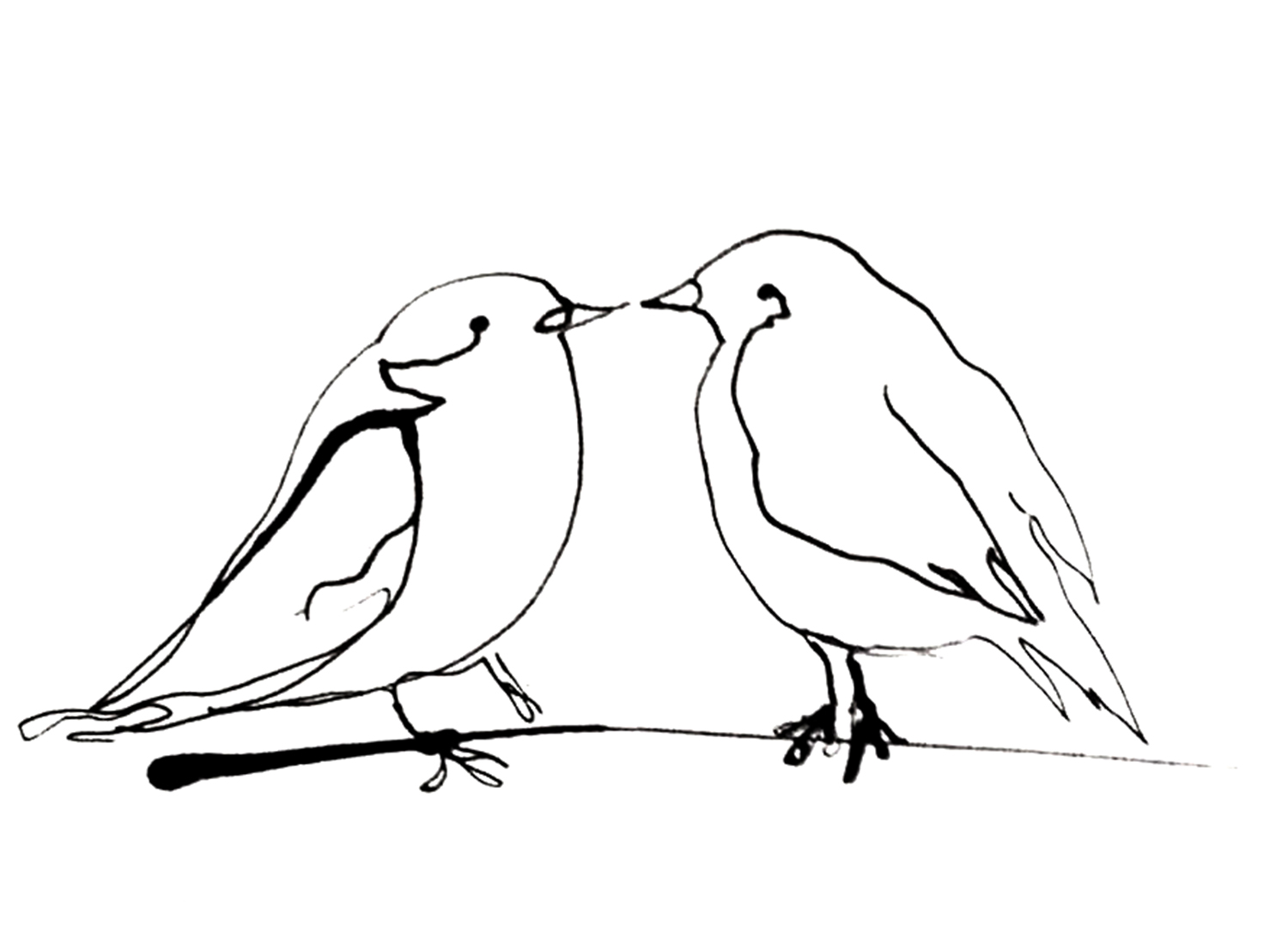 Dae19f21 b6fe 4d60 b507 28fa596caf43 image 5 bird kiss