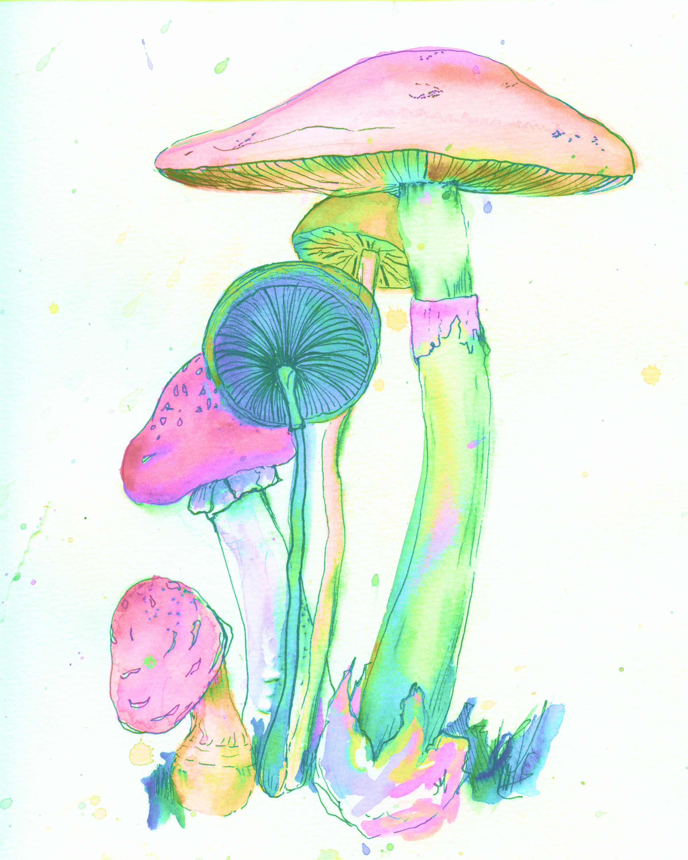 F0430e97 0bfc 4210 a39e 6d92ac6933a5 image 7 mushroom print