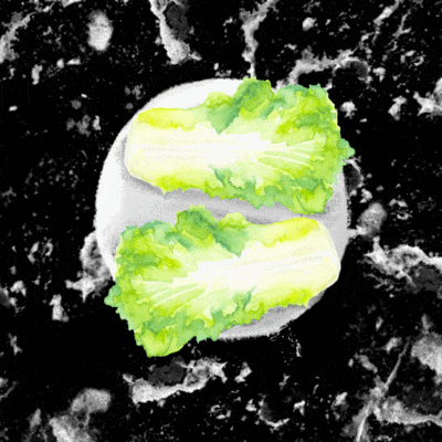 40d79634 35c4 42c2 82a3 8e5d3eeaafd9 asian pork wrap