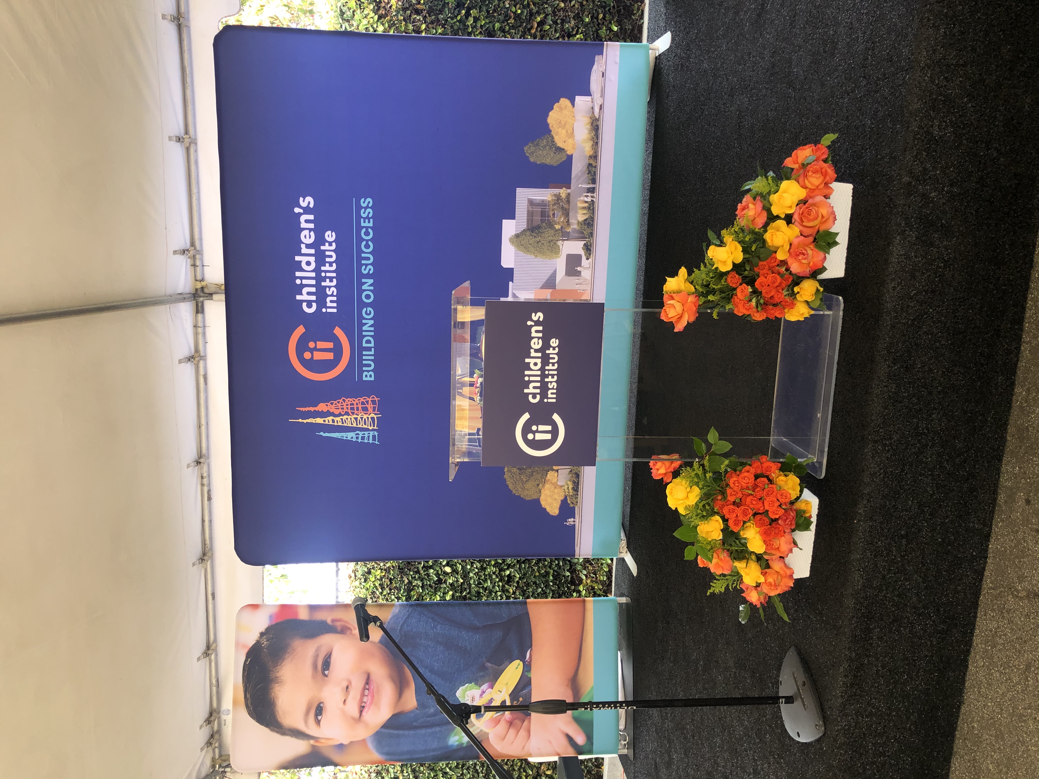 30a965fd f0b8 46ff 8913 e10d03af9b28 img 9256