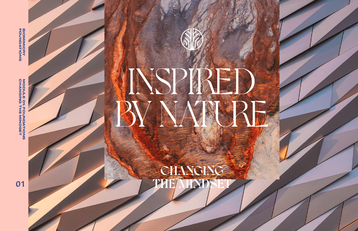 C9905fb2 7dd6 4b29 8fd7 3784cb2fd20a mod1 copy