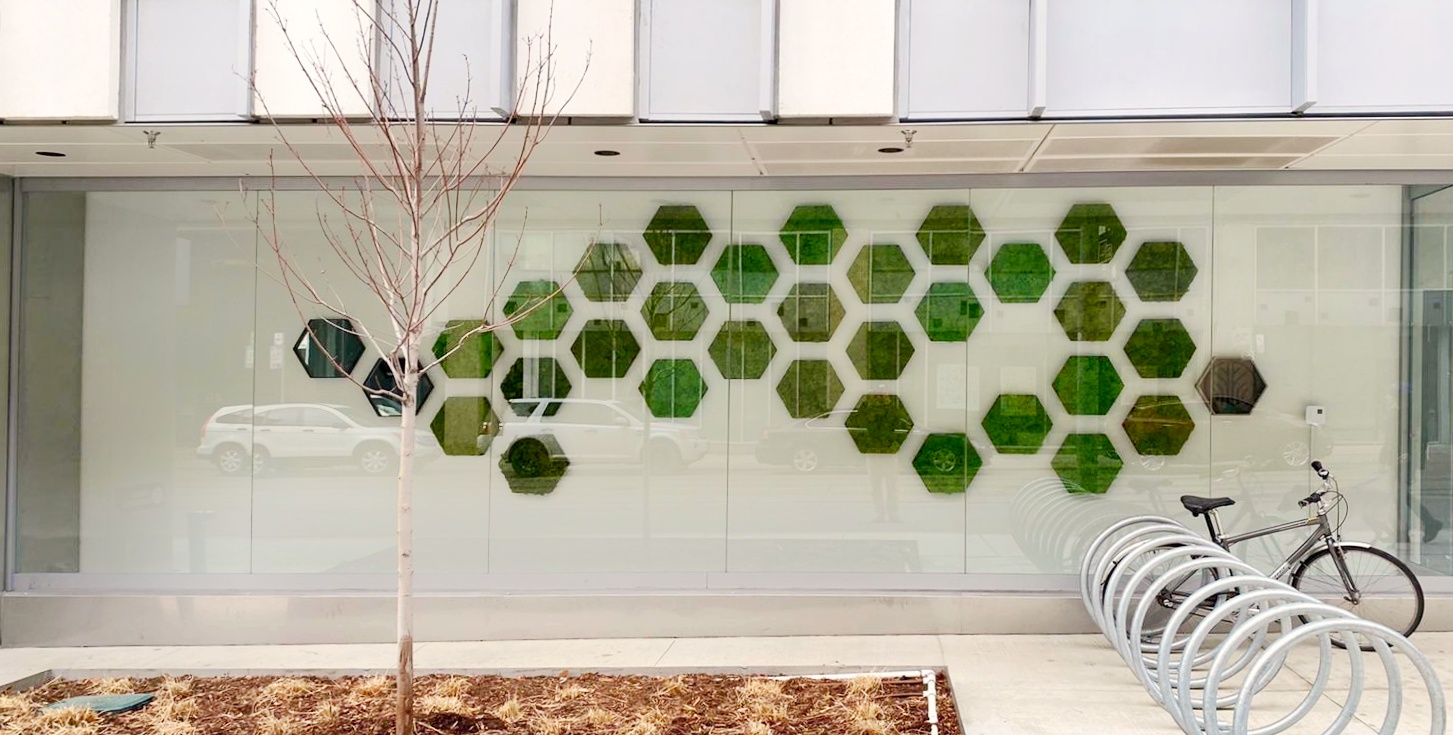 1a4a25c6 2b95 481f b1bf 8ed486d52d18 2021 02 ashatouchup