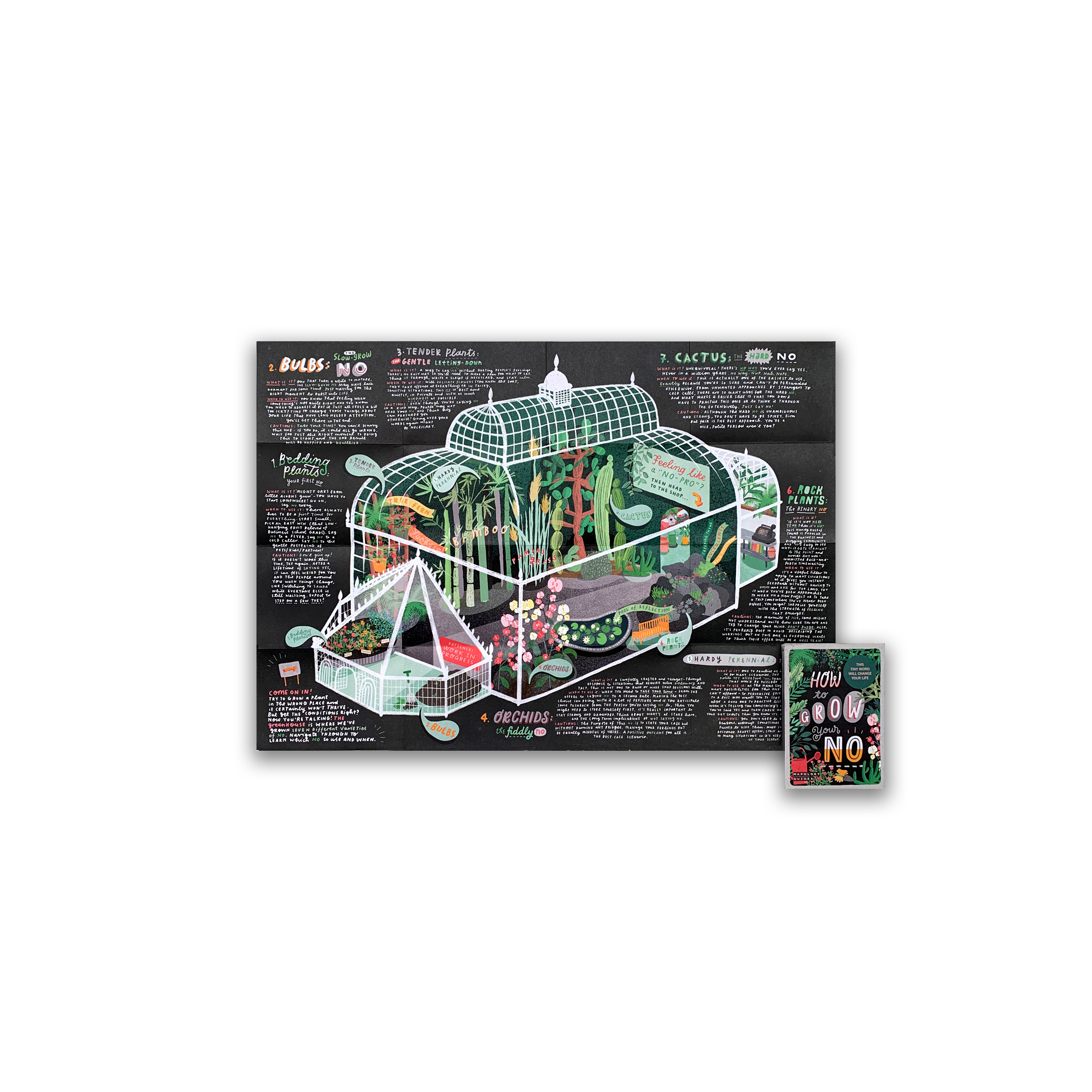 0c1d3e44 c229 4c06 afba 038cd0bbfac8 website no square 1300