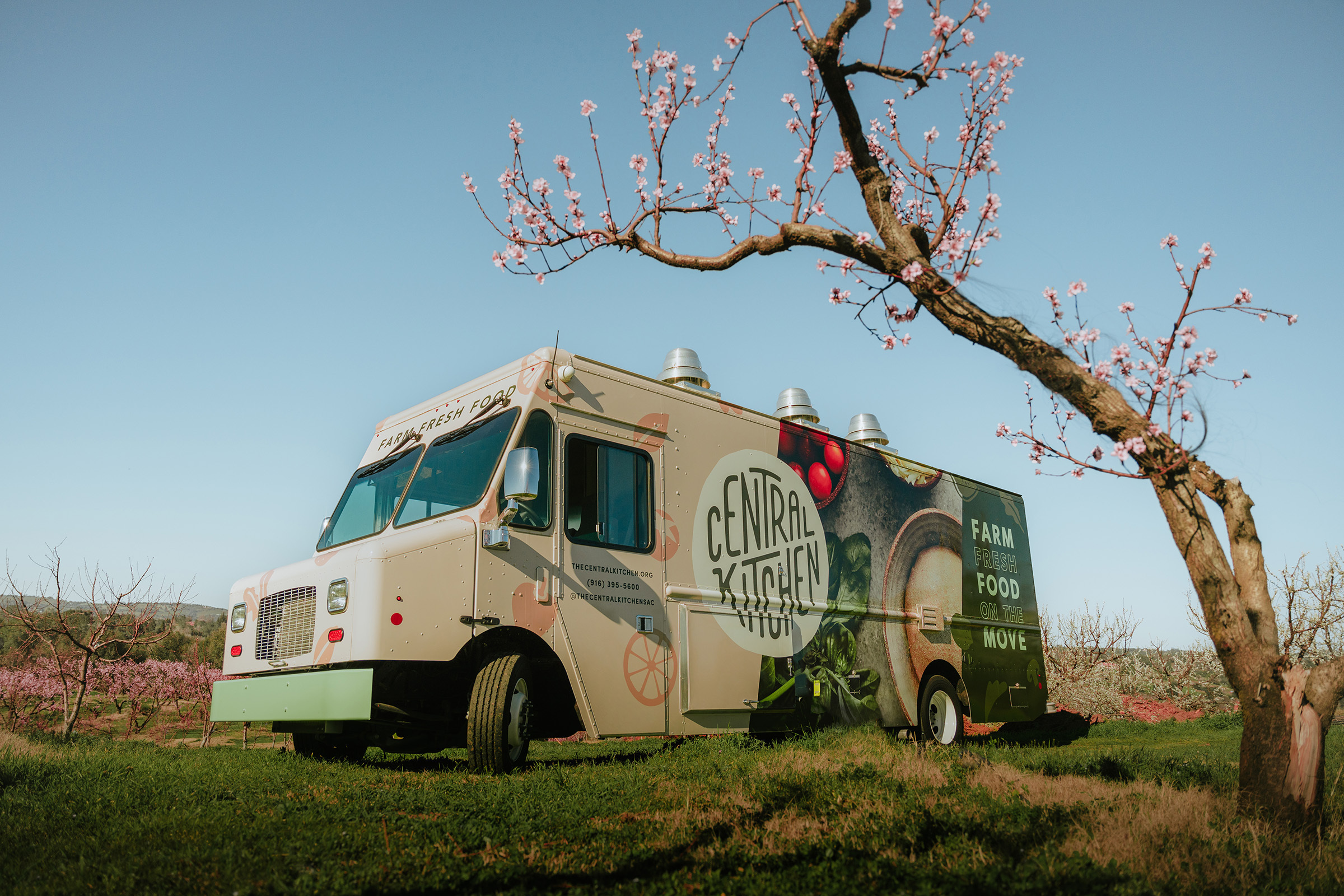 69200c4f dd21 414d 8caf b87f860abfba dsc01262