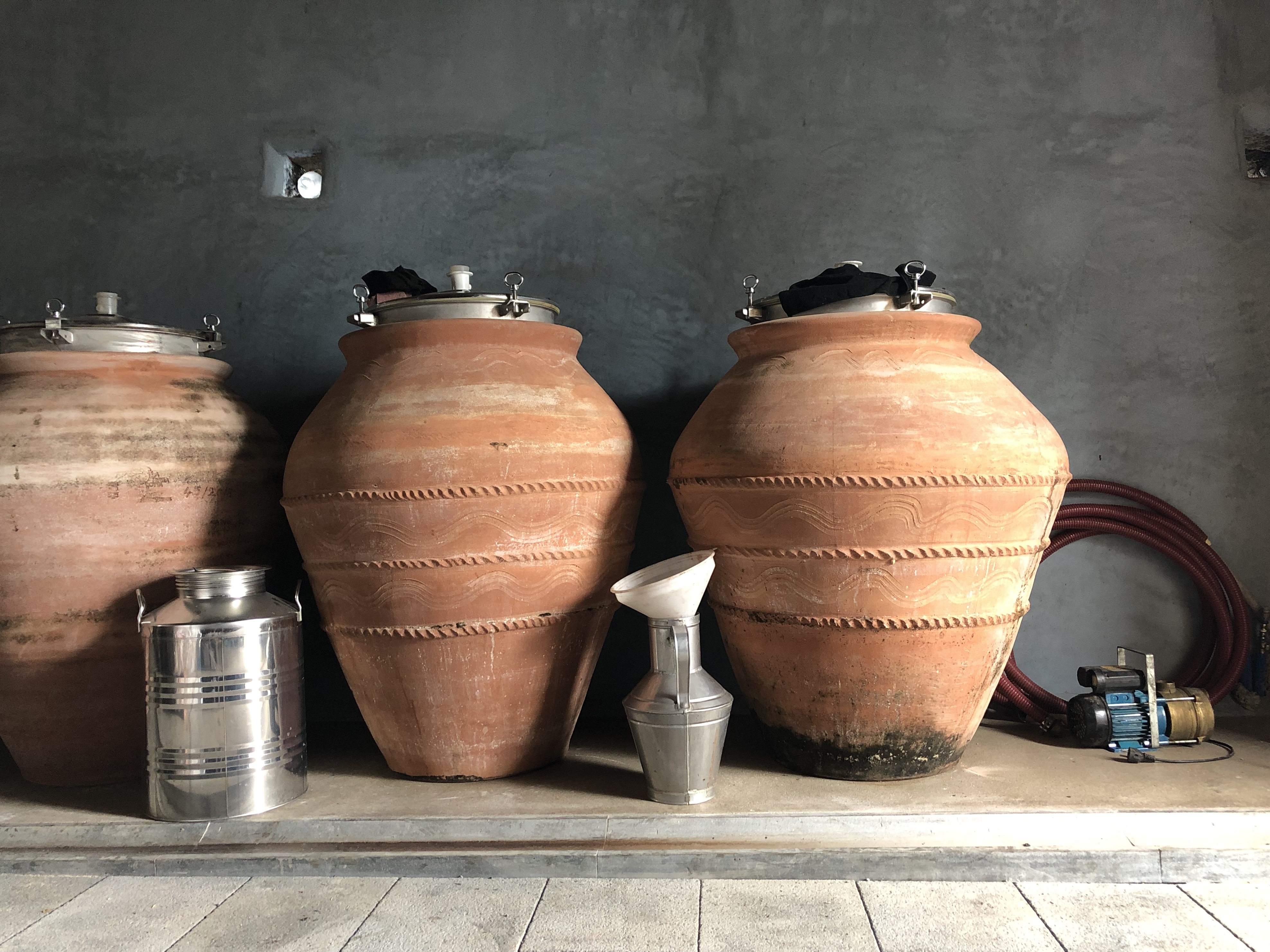 703c196f 40e7 4d50 bdf1 31ce530b5123 img 1005