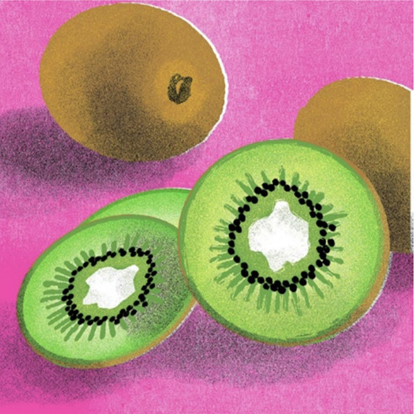 24116c22 89f7 4cd2 aead 159dda3eb0ac illustrated kiwis by kristiina almy