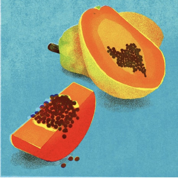 6cd024ea 1a7f 4d97 99b8 3f8f24a184ad illustrated papaya by kristiina almy