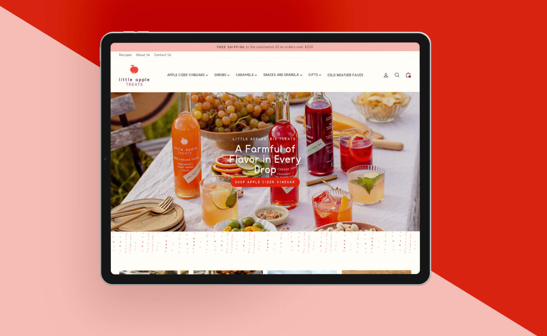 69e095e3 c576 4523 8b01 a8232146002d simple site opt