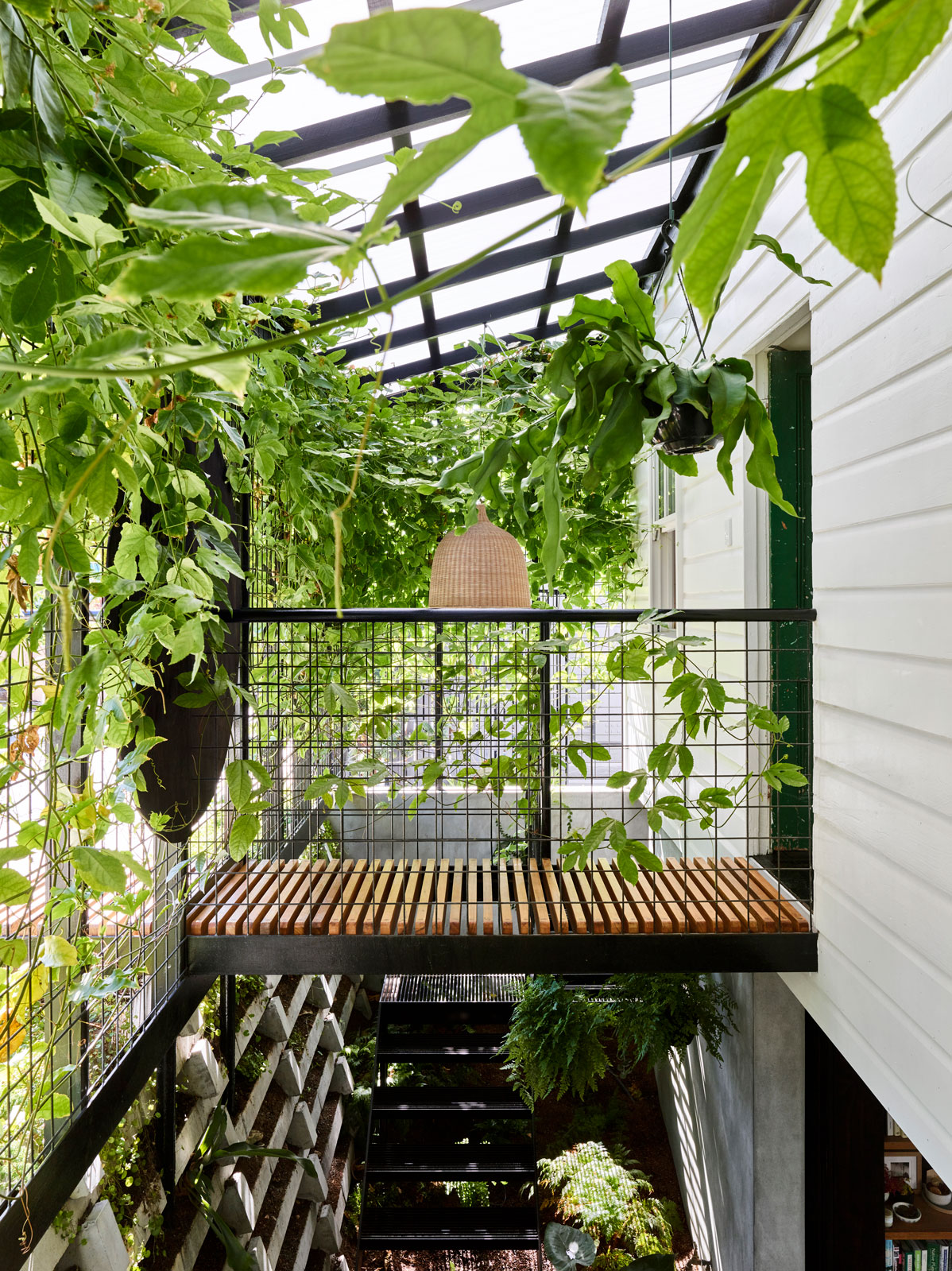 Je terrariumhouse cf057699 tobyscott