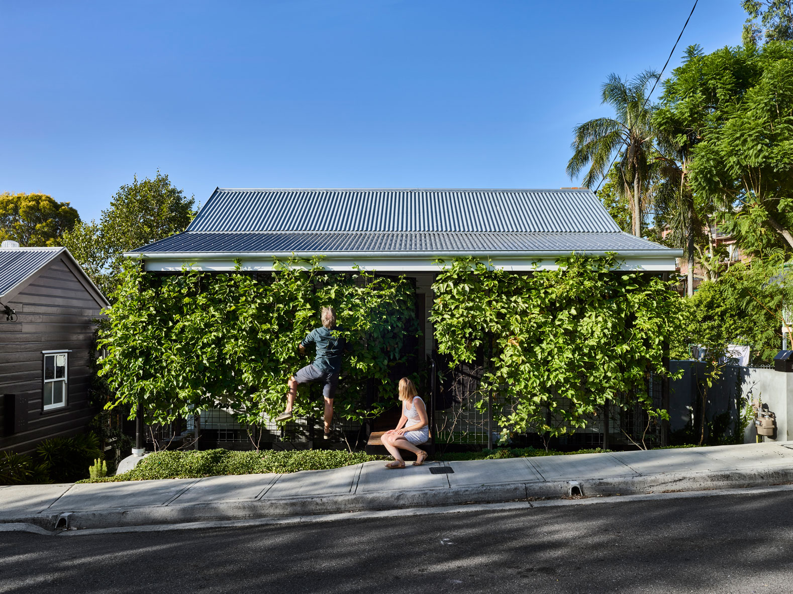 Je terrariumhouse cf057864 tobyscott