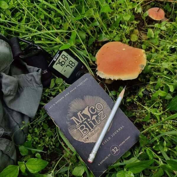 I'm super-excited to introduce the Myco Blitz Pocket Field Journal! This has been a 3-year labor of love and I'm psyched to finally be able to share it with all of you.

As a designer by trade and a mycologist by passion, Myco Blitz is the inevitable result of those two worlds coming together. 

Originally, I just wanted something that would enable me to quickly capture meaningful data about mushrooms without having to rely on a screen. So, inspired by field collection slips and underwhelmed by the available mushroom notebooks and journals, I decided to create my own!

From master naturalists to elementary school students, I designed Myco Blitz for everyone to be able to use and enjoy. Each of its 32 pages contains a carefully designed form that allows you to easily record a mushroom's physical traits, abundance, nearby trees, etc. as well as detailed climate and location data.

With the Myco Blitz Pocket Field Journal, you'll no longer need to pull out your phone while in the woods just to record your finds. That bright LED screen and those distracting notifications defeat the whole purpose of being nature in the first place. So why not unplug? Get back to basics. Phones down. Pencils up. 

I really love how it turned out and I'd like to hear what you think! You can learn more and purchase your very own Myco Blitz Pocket Field Journal via the link in my bio. 

Mush love,
Art

#mycology #mushrooms #mushroomhunting #fungi #journal #journaling #ReleaseDay2026