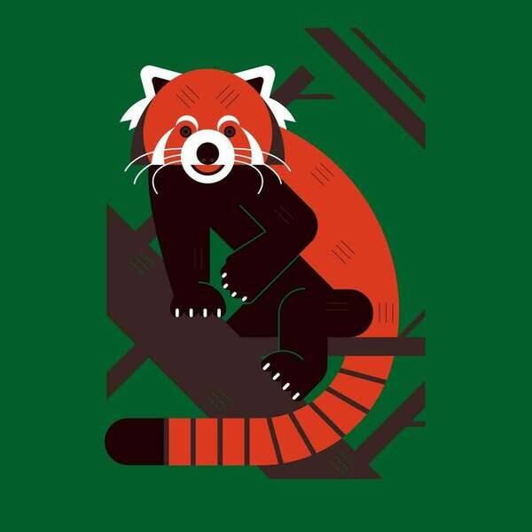 New animal illustration, Red Panda, soon to be a screenprint when I get into the studio next week #ReleaseDay2026 @creativemornings @adobe @creative.quests