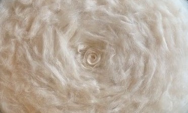 Whirlwind2 3x2 cropped for banner