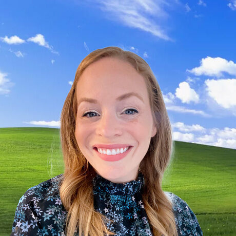 Professional ai photo windows