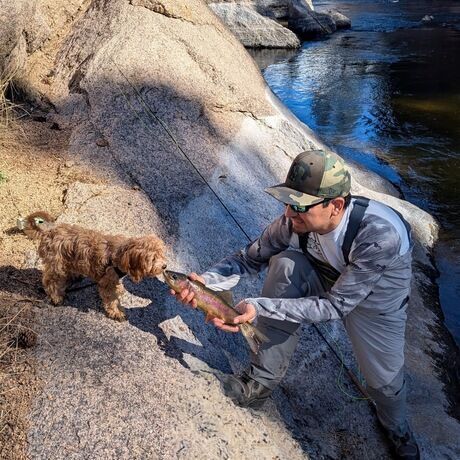 6bce49cc 3c1e 42e2 a0cb eeaebd106fea 1 all 15955