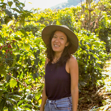 Nicprofessionalprofile