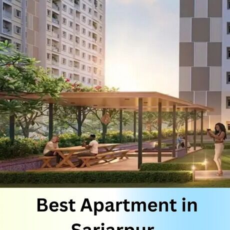 Whatsapp image 2024 10 22 at 21.54.39