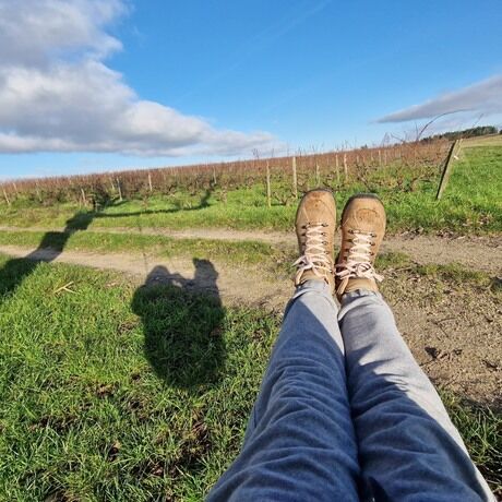 Keinu 26 12 24 pienin