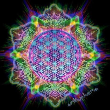 Bkrc05i1uc1ytbjit79b