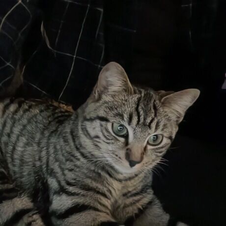 Photo on 12 19 24 at 6.30 pm