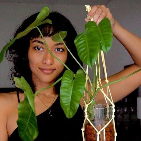 08f3238d 065a 476d bc25 487c33b7f51b 1 201 a