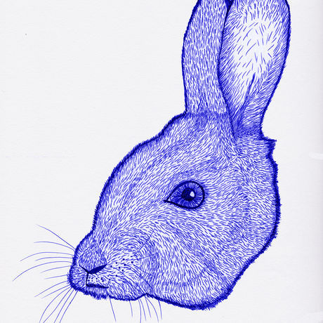 Rabbit blue rigostudio
