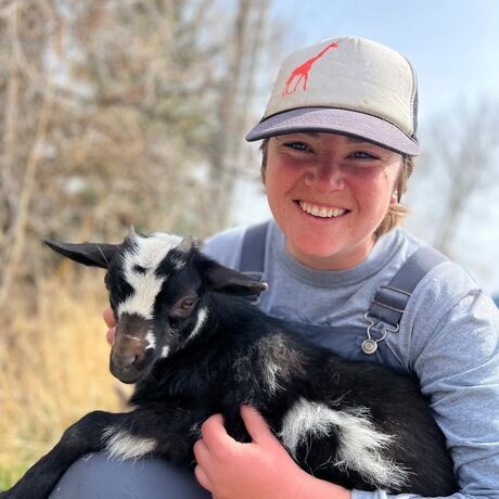 5ce398c8 857a 443a bf0e 28e25229b22b