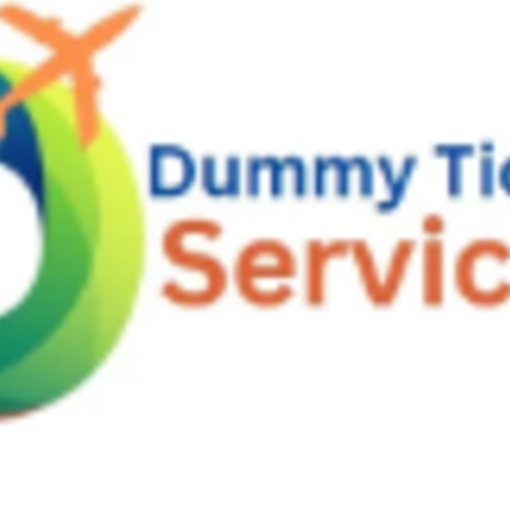 Dummyservices logo