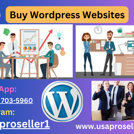 Buy wordpress websites  1 