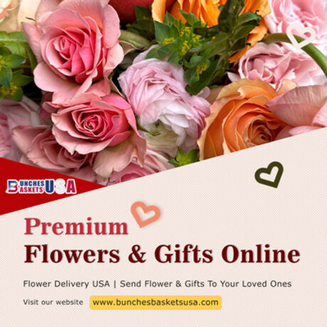 Usa normal 100x400 square