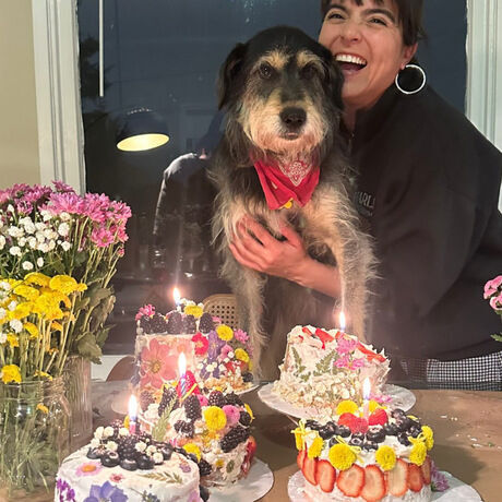 312685b9 de4b 4682 aad7 14e5879003aa