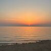 Small img 8670
