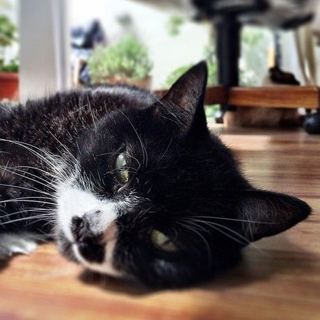 10653600 10202807169968988 6494468972061810925 n