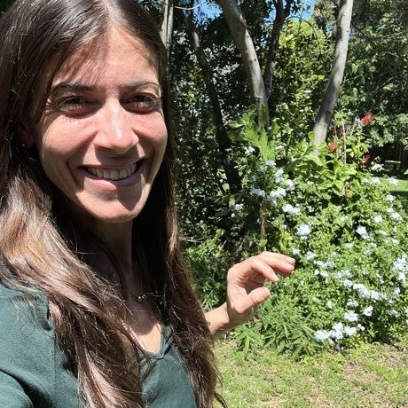 09c3efac b0d7 472d b2cc 8fedd761f7b3